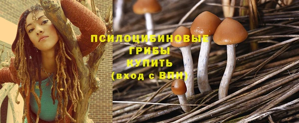 круглые Алзамай