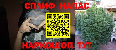 гидра Гусь-Хрустальный