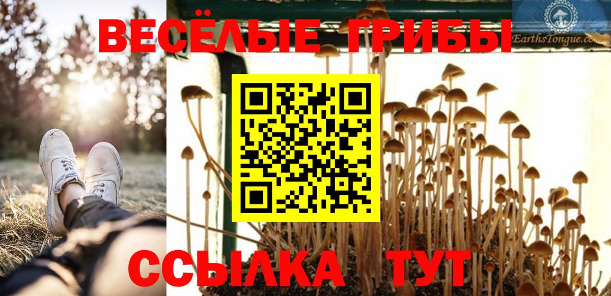 Сорочинск  Псилоцибиновые грибы Psilocybine cubensis  Вход с VPN 